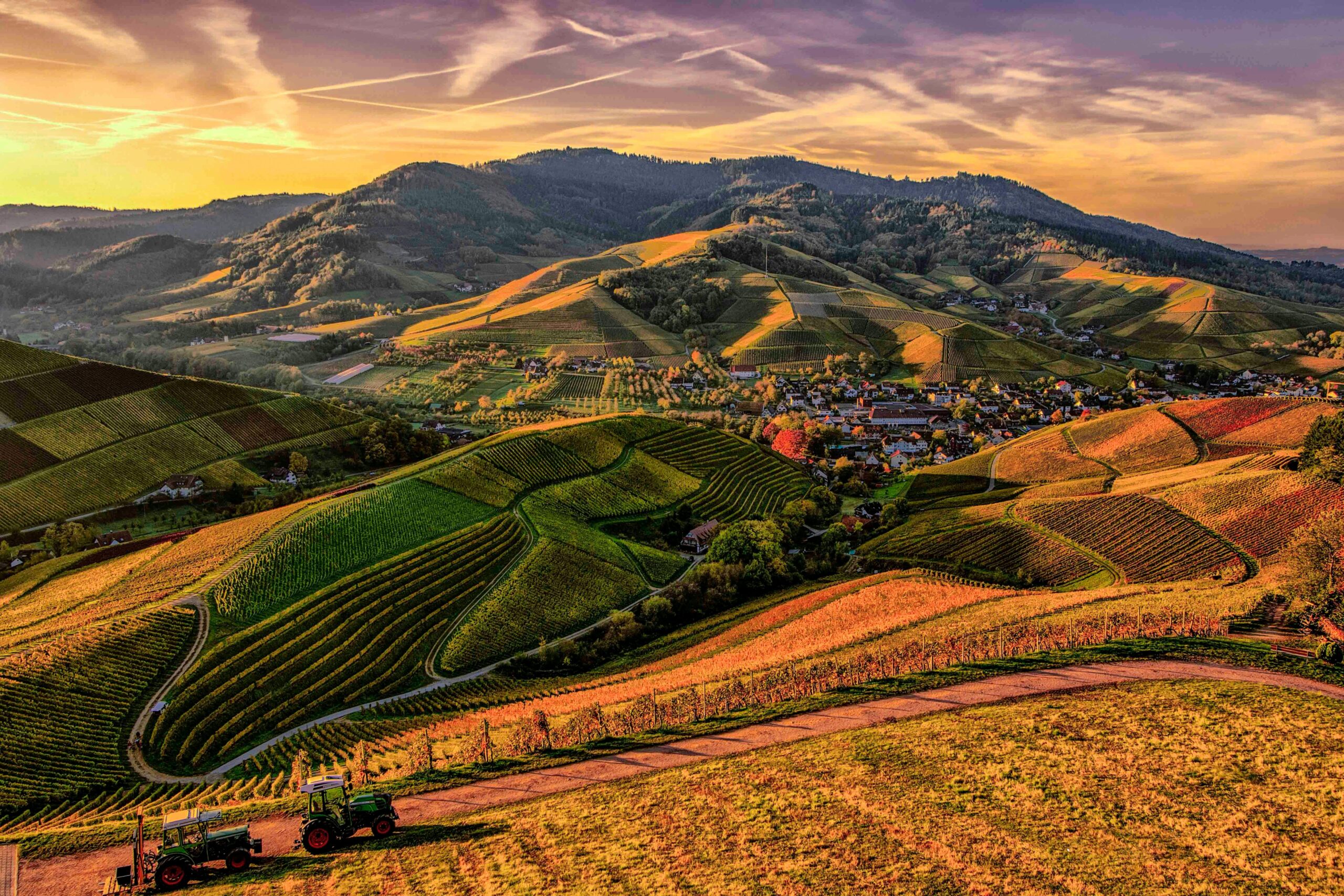 "Sunlight shining over a green field representing sustainable agriculture"